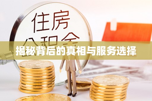 陆丰揭秘背后的真相与服务选择