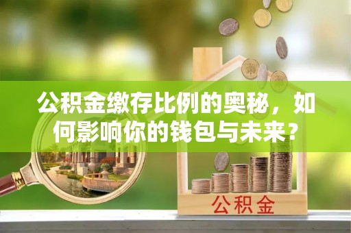 陆丰公积金缴存比例的奥秘，如何影响你的钱包与未来？