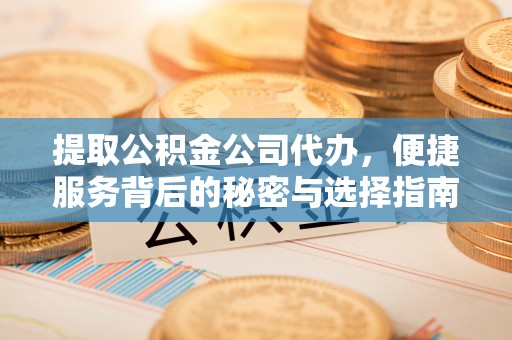 陆丰提取公积金公司代办，便捷服务背后的秘密与选择指南
