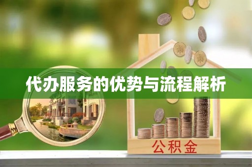 陆丰代办服务的优势与流程解析