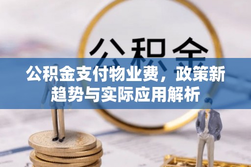 陆丰公积金支付物业费，政策新趋势与实际应用解析