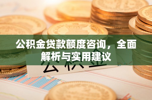 陆丰公积金贷款额度咨询，全面解析与实用建议