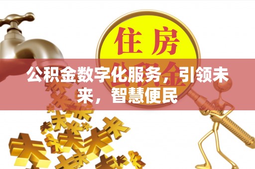 陆丰公积金数字化服务，引领未来，智慧便民
