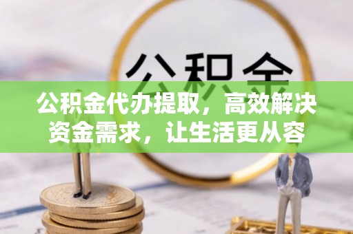 陆丰公积金代办提取，高效解决资金需求，让生活更从容