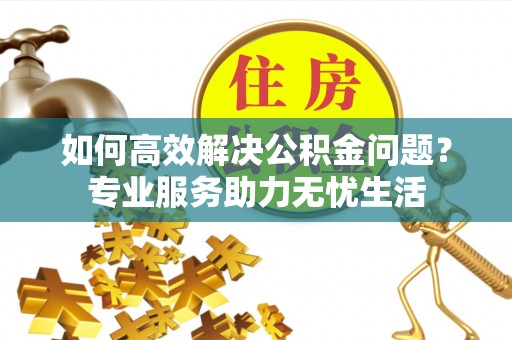 陆丰如何高效解决公积金问题？专业服务助力无忧生活