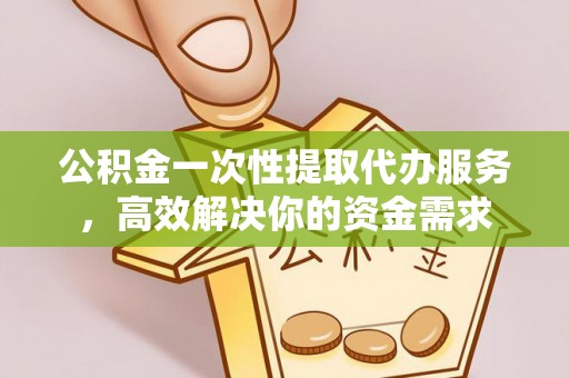 陆丰公积金一次性提取代办服务，高效解决你的资金需求