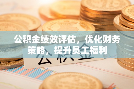 陆丰公积金绩效评估，优化财务策略，提升员工福利