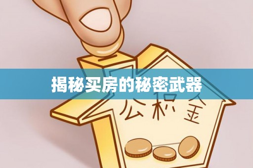 陆丰揭秘买房的秘密武器