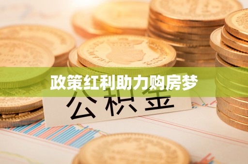 陆丰政策红利助力购房梦