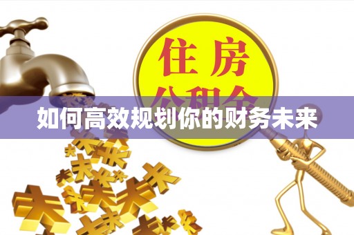 陆丰如何高效规划你的财务未来