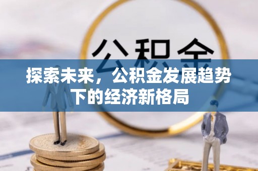 陆丰探索未来，公积金发展趋势下的经济新格局