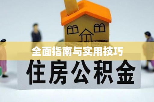 陆丰全面指南与实用技巧
