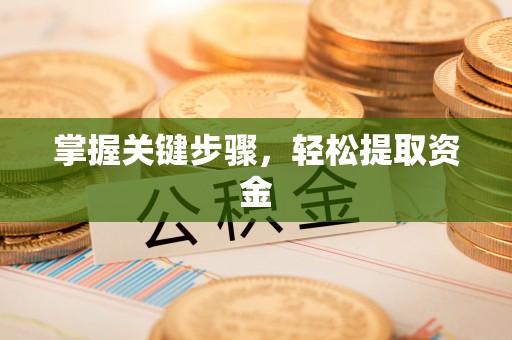 陆丰掌握关键步骤，轻松提取资金