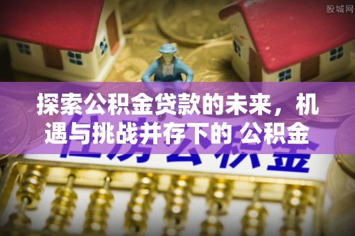 陆丰探索公积金贷款的未来，机遇与挑战并存下的 公积金贷款风险防控