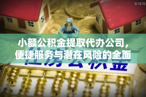 陆丰小额公积金提取代办公司，便捷服务与潜在风险的全面解析