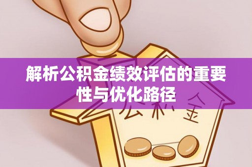陆丰解析公积金绩效评估的重要性与优化路径