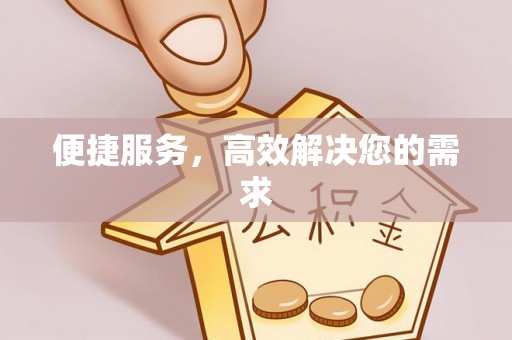 陆丰便捷服务，高效解决您的需求
