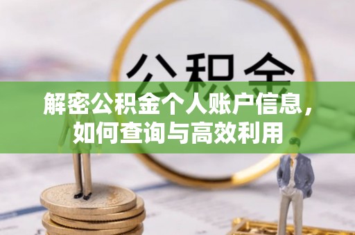 陆丰解密公积金个人账户信息，如何查询与高效利用