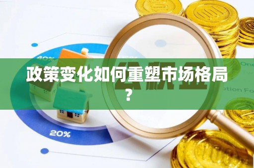 陆丰政策变化如何重塑市场格局？