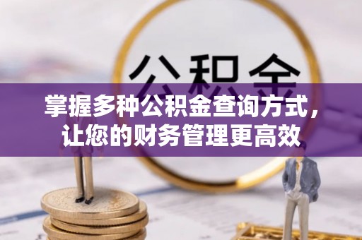 陆丰掌握多种公积金查询方式，让您的财务管理更高效