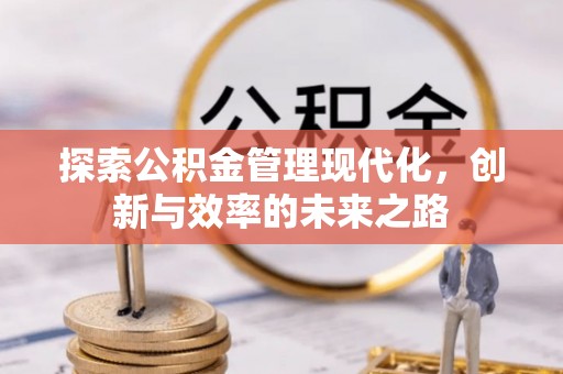 陆丰探索公积金管理现代化，创新与效率的未来之路