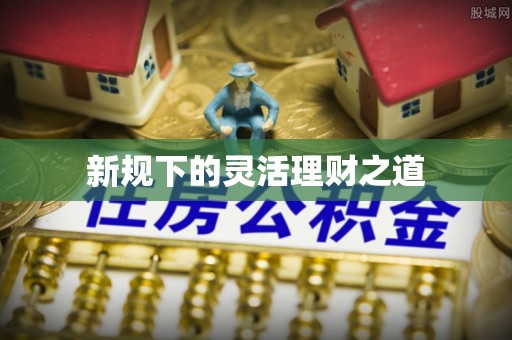 陆丰新规下的灵活理财之道