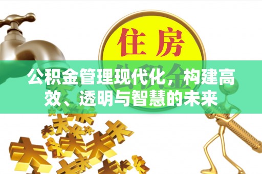 陆丰公积金管理现代化，构建高效、透明与智慧的未来