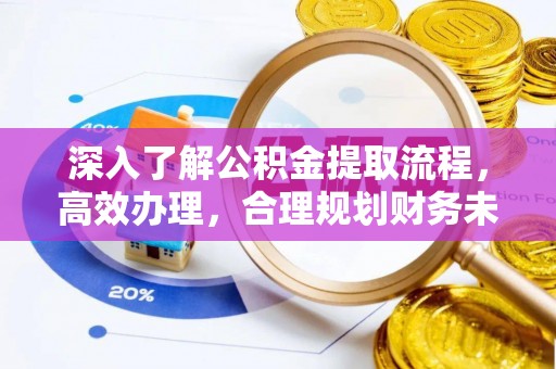 陆丰深入了解公积金提取流程，高效办理，合理规划财务未来