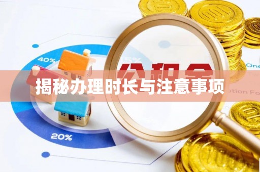 陆丰揭秘办理时长与注意事项
