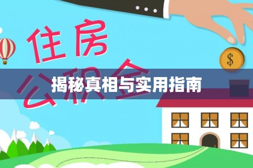 陆丰揭秘真相与实用指南