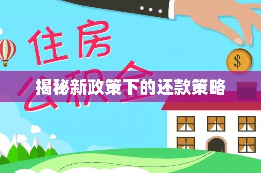 陆丰揭秘新政策下的还款策略