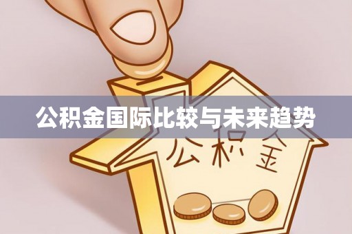 陆丰公积金国际比较与未来趋势