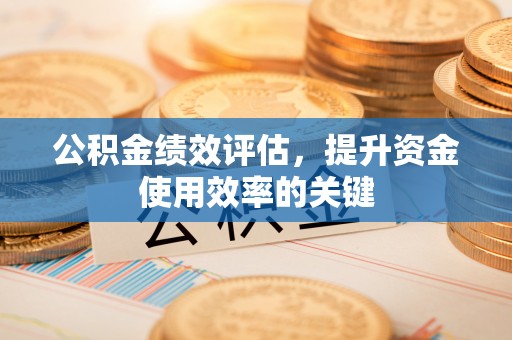 陆丰公积金绩效评估，提升资金使用效率的关键