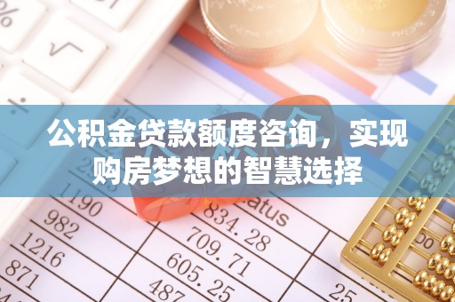 陆丰公积金贷款额度咨询，实现购房梦想的智慧选择