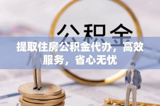陆丰提取住房公积金代办，高效服务，省心无忧