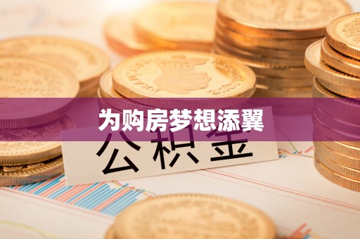 陆丰为购房梦想添翼