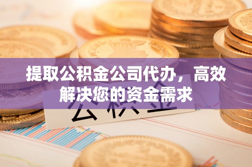 陆丰提取公积金公司代办，高效解决您的资金需求