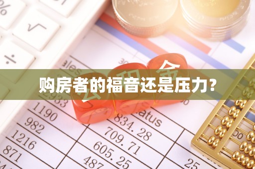 陆丰购房者的福音还是压力？