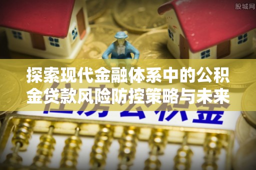 陆丰探索现代金融体系中的公积金贷款风险防控策略与未来发展趋势