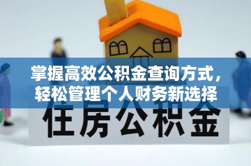陆丰掌握高效公积金查询方式，轻松管理个人财务新选择
