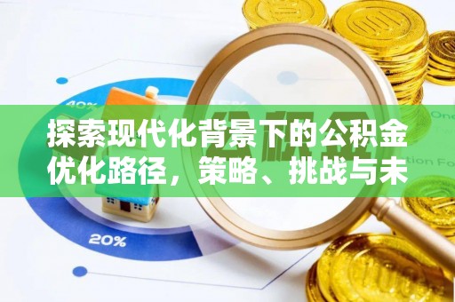 陆丰探索现代化背景下的公积金优化路径，策略、挑战与未来展望