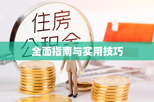 陆丰全面指南与实用技巧