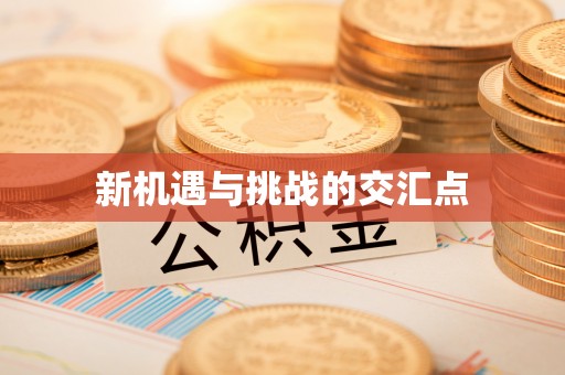 陆丰新机遇与挑战的交汇点