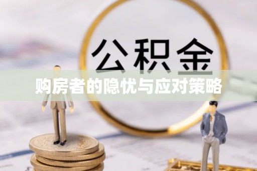 陆丰购房者的隐忧与应对策略