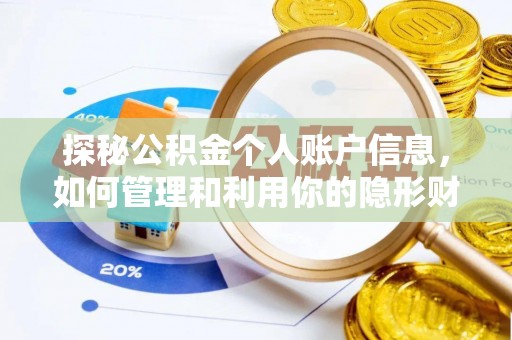 陆丰探秘公积金个人账户信息，如何管理和利用你的隐形财富