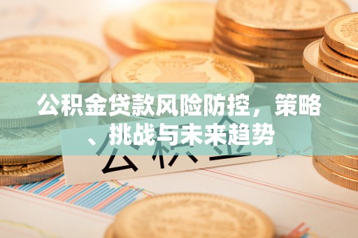 陆丰公积金贷款风险防控，策略、挑战与未来趋势
