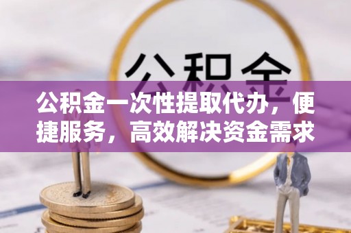 陆丰公积金一次性提取代办，便捷服务，高效解决资金需求