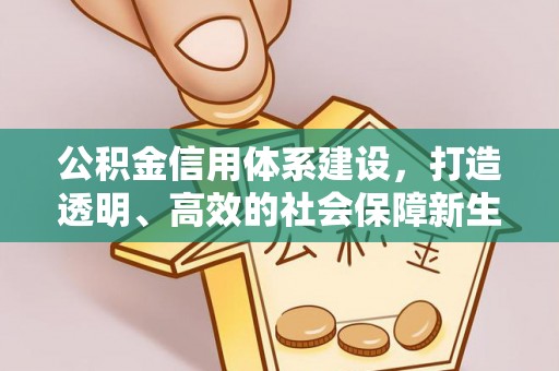 陆丰公积金信用体系建设，打造透明、高效的社会保障新生态