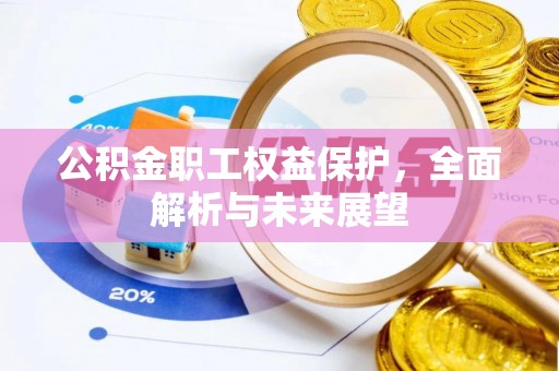 陆丰公积金职工权益保护，全面解析与未来展望