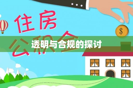 陆丰透明与合规的探讨